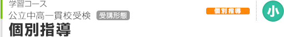公立中高一貫校 受検 受講形態 個別指導