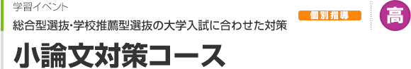 小論文対策コース