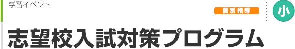 志望校入試対策プログラム