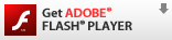 Get ADOBE FLASH PLAYER