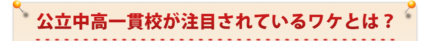 公立中高一貫校が注目されているワケとは